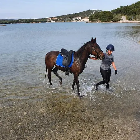 بيت للعطل Kuca Za Odmor Zip *