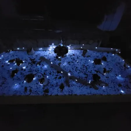 Kuca Za Odmor Zip بيت للعطل *